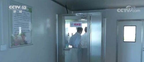 科技技術賦予 植物工廠 ,使蔬菜達到最佳生長狀態