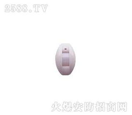 振南探測(cè)器 安防科技先鋒，加盟店優(yōu)勢(shì)解析